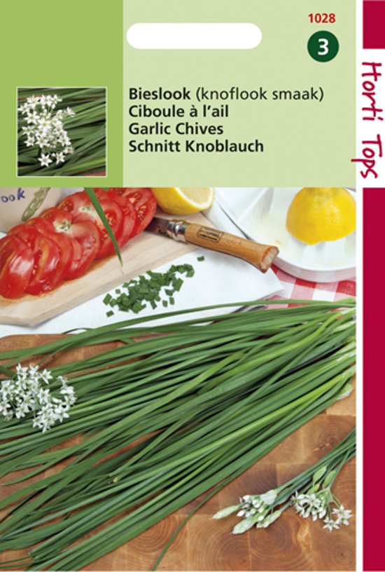 Knoblauch-Schnittlauch (Allium) 250 Samen HT